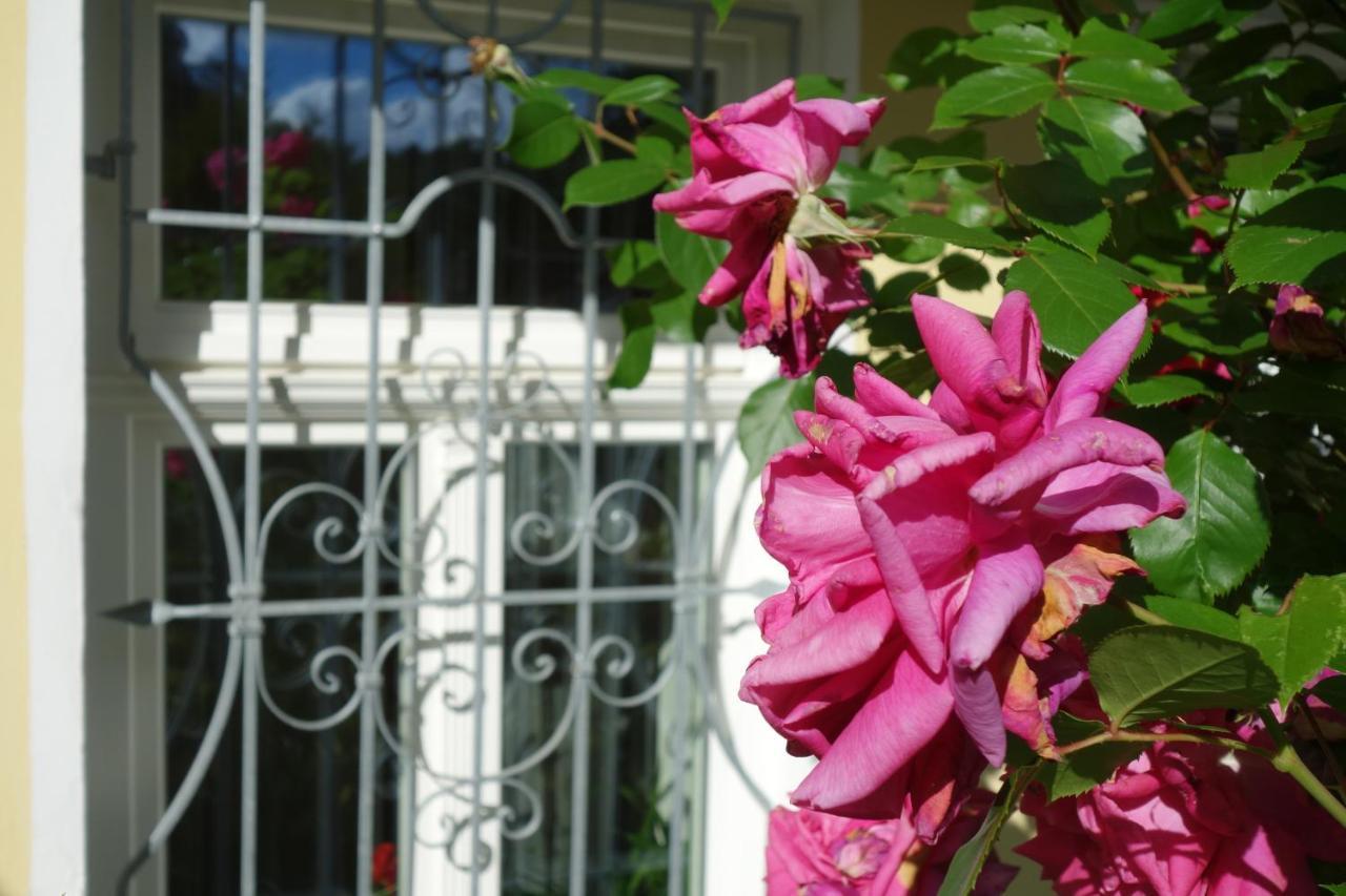 Villa Sonnenstrahl มาเรียอานซเกลาซนี ภายนอก รูปภาพ