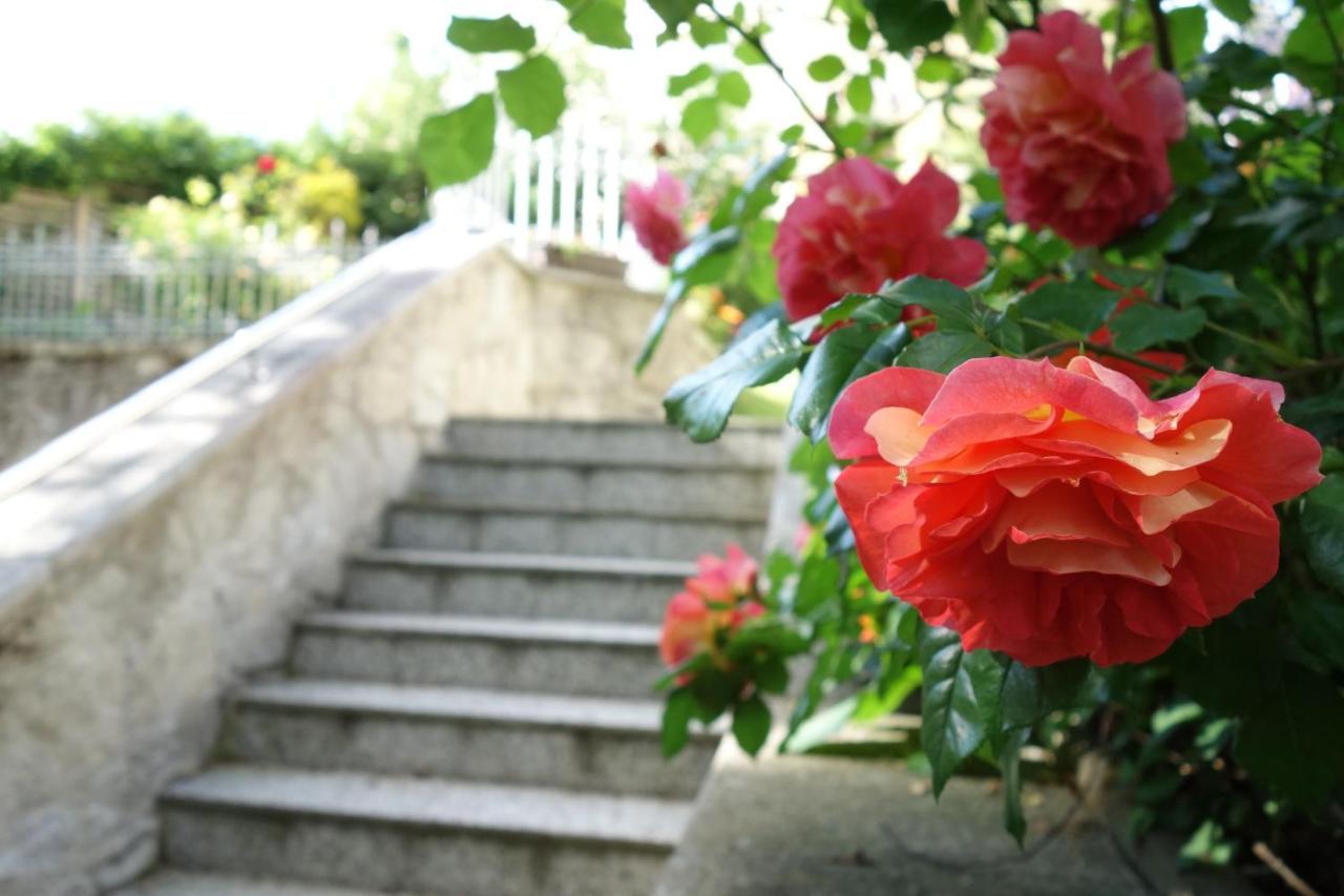 Villa Sonnenstrahl มาเรียอานซเกลาซนี ภายนอก รูปภาพ